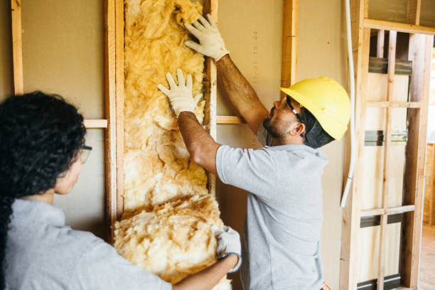 Best Cellulose Insulation  in Millers Falls, MA
